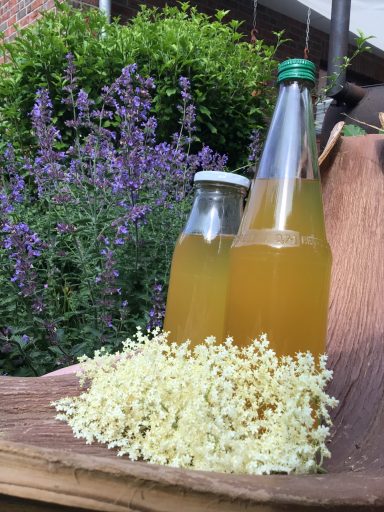 Großensee Küche für die seele