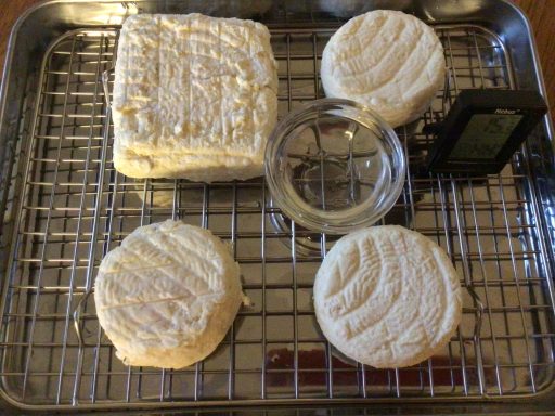 ausprobieren käse Rohmilch kefir